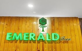 Townhouse Oak The Emerald Tree